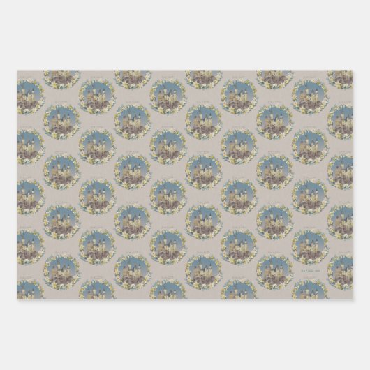 HARRY POTTER™ | HOGWARTS™ CASTLE INPAKPAPIER VEL (Voorkant)