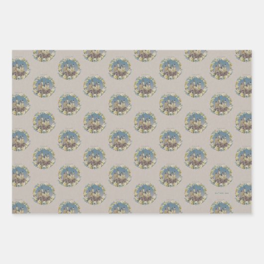 HARRY POTTER™ | HOGWARTS™ CASTLE INPAKPAPIER VEL (Voorkant)