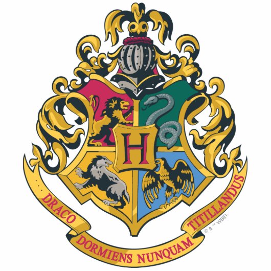 Harry Potter | Hogwarts Crest - Volledige kleur Fotobeeldje Sleutelhanger (Voorkant)
