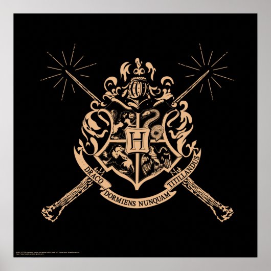 Harry Potter| Hogwarts Crossed Wands Crest Poster (Voorkant)