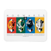 Harry Potter | HOGWARTS™ House Sigils Magneet (Horizontaal)