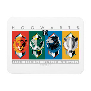 Harry Potter   HOGWARTS™ House Sigils Magneet