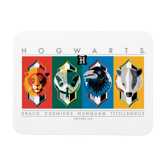 Harry Potter | HOGWARTS™ House Sigils Magneet (Horizontaal)