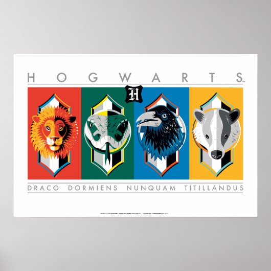 Harry Potter | HOGWARTS™ House Sigils Poster (Voorkant)