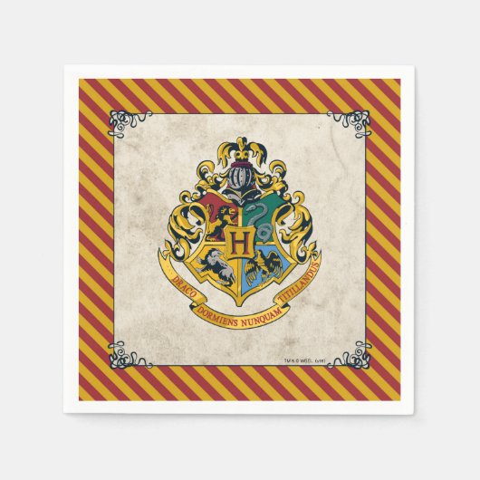 Harry Potter | Hogwarts Verjaardag Servet (Voorkant)