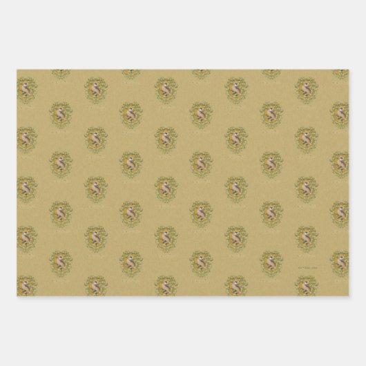 HARRY POTTER™ | HUFFLEPUFF™ Crest Inpakpapier Vel (Voorkant 3)