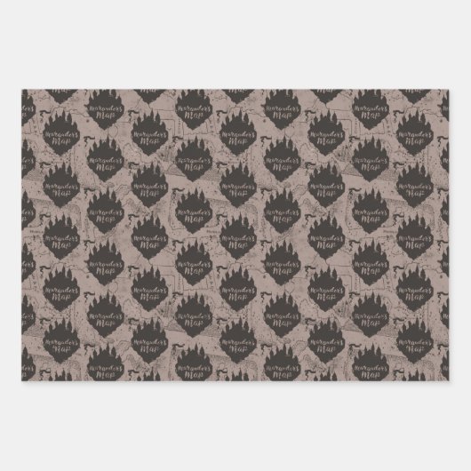 Harry Potter | Kaart HOGWARTS™ Castle Marauder Inpakpapier Vel (Voorkant)
