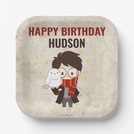 HARRY POTTER™ Karakter Magische Boog Verjaardag Papieren Bordje (Voorkant)