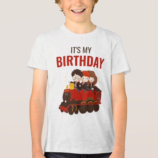 HARRY POTTER™ Karakter Magische Boog Verjaardag Tri-Blend Shirt (Voorkant)