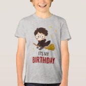 HARRY POTTER™ Karakter Magische Boog Verjaardag Tri-Blend Shirt (Voorkant)