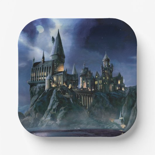 Harry Potter Kasteel | Hogwarts in het maanlicht Papieren Bordje (Voorkant)