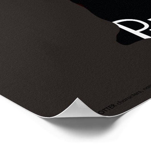 Harry Potter | Leger van het standbeeld van profes Poster (Hoek)