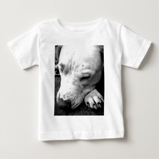 harry potter litteken hond witte pitbull (Voorkant)