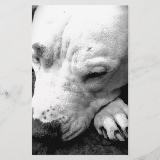 harry potter litteken hond witte pitbull briefpapier (Voorkant)