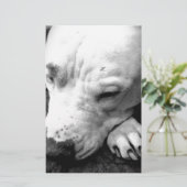 harry potter litteken hond witte pitbull briefpapier (Staand voorkant)