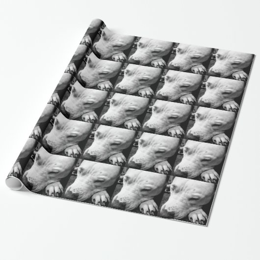 harry potter litteken hond witte pitbull cadeaupapier (Uitgerold)