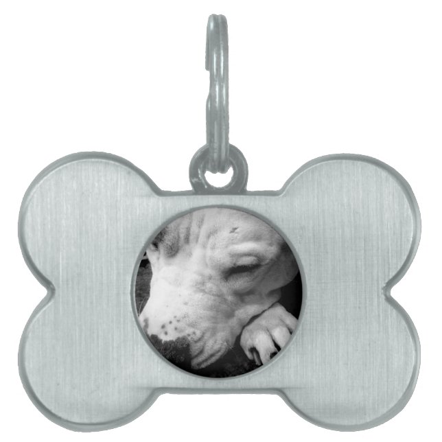 harry potter litteken hond witte pitbull huisdieren naamplaatje (voorkant)