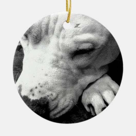 harry potter litteken hond witte pitbull keramisch ornament (Voorkant)