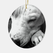 harry potter litteken hond witte pitbull keramisch ornament (Links)