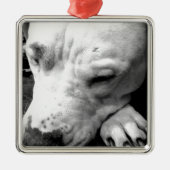 harry potter litteken hond witte pitbull metalen ornament (Voorkant)