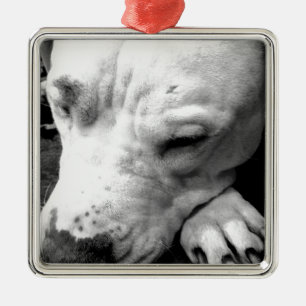 harry potter litteken hond witte pitbull metalen ornament