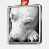 harry potter litteken hond witte pitbull metalen ornament (Links)