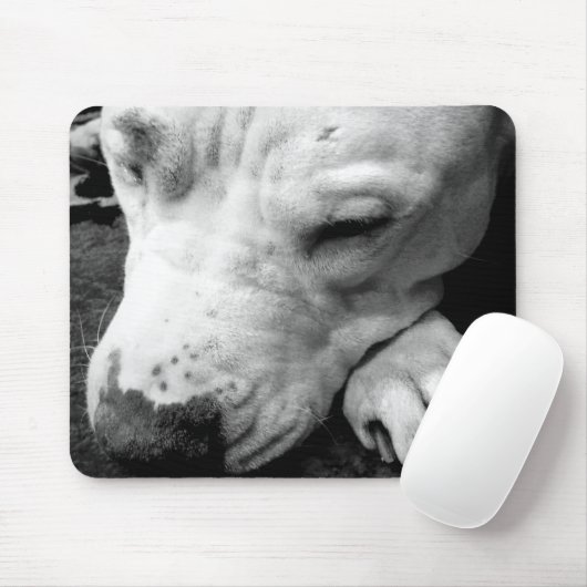 harry potter litteken hond witte pitbull muismat (Met muis)