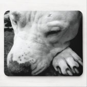 harry potter litteken hond witte pitbull muismat (Voorkant)