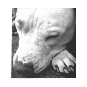 harry potter litteken hond witte pitbull notitieblok