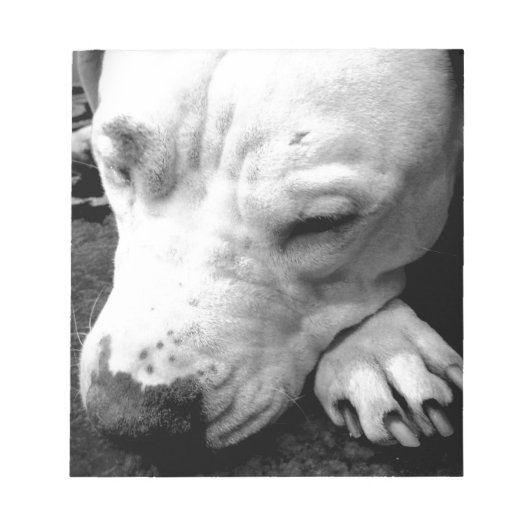 harry potter litteken hond witte pitbull notitieblok (Voorkant)