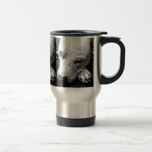 harry potter litteken hond witte pitbull reisbeker