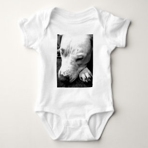 harry potter litteken hond witte pitbull romper