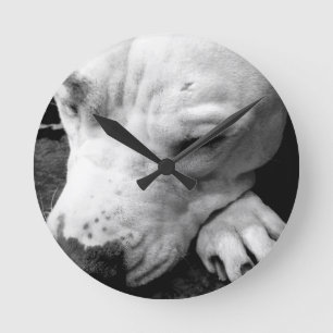 harry potter litteken hond witte pitbull ronde klok