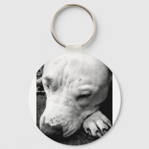 harry potter litteken hond witte pitbull sleutelhanger