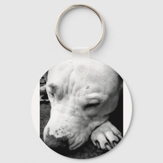 harry potter litteken hond witte pitbull sleutelhanger (Voorkant)