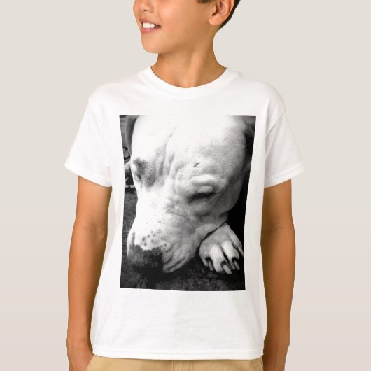 harry potter litteken hond witte pitbull t-shirt (Voorkant)
