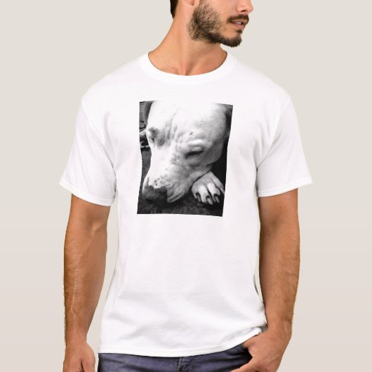 harry potter litteken hond witte pitbull t-shirt (Voorkant)