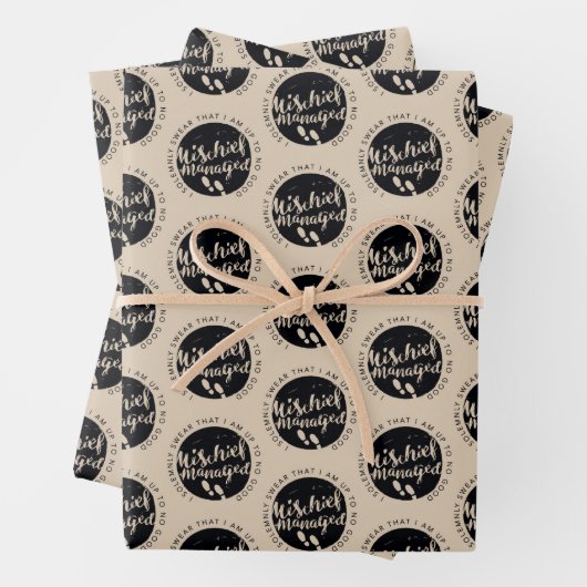 Harry Potter | Marauder's Map Charms Typografie Inpakpapier Vel (In situ)