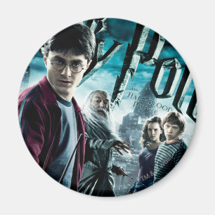 Harry Potter met Dumbledore Ron en Hermione 1 Magneet