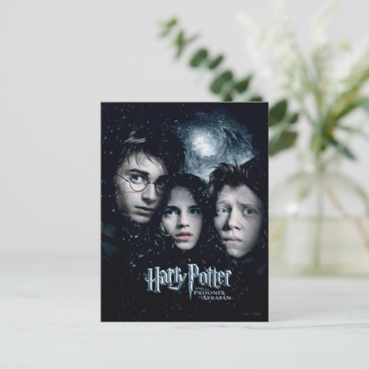 Harry Potter Movie Poster Briefkaart (Staand voorkant)