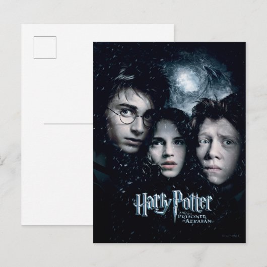 Harry Potter Movie Poster Briefkaart (Voorkant / Achterkant)