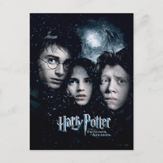 Harry Potter Movie Poster Briefkaart (Voorkant)