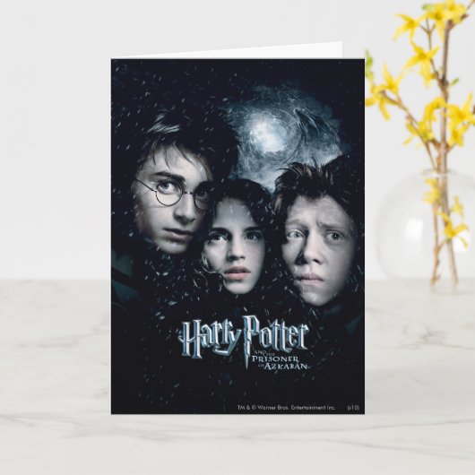 Harry Potter Movie Poster Kaart (Gele Bloem)