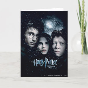 Harry Potter Movie Poster Kaart