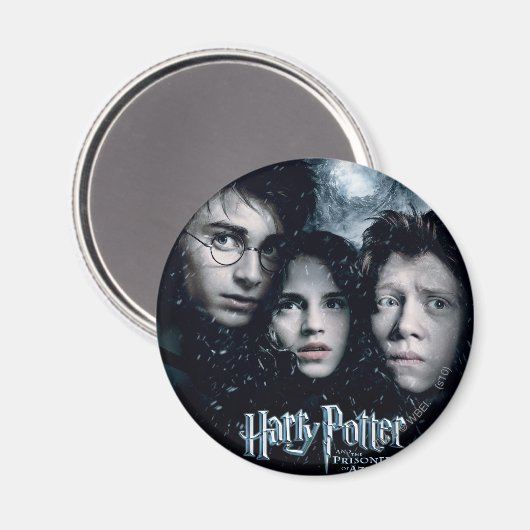 Harry Potter Movie Poster Magneet (Voorkant / Achterkant)