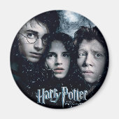 Harry Potter Movie Poster Magneet (Voorkant)