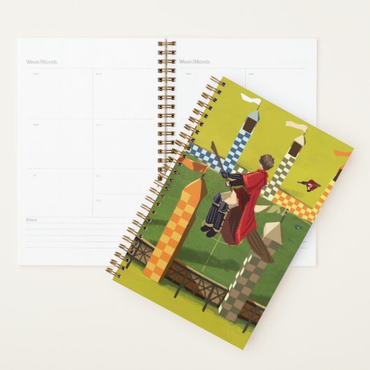 HARRY POTTER™ Op zoek naar de Gouden Snaai Planner (Display)