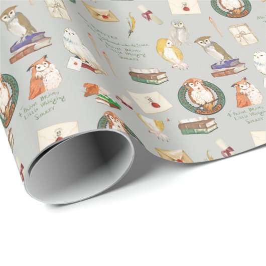 HARRY POTTER™ | Owl Letter Patroon Cadeaupapier (Rol Hoek)