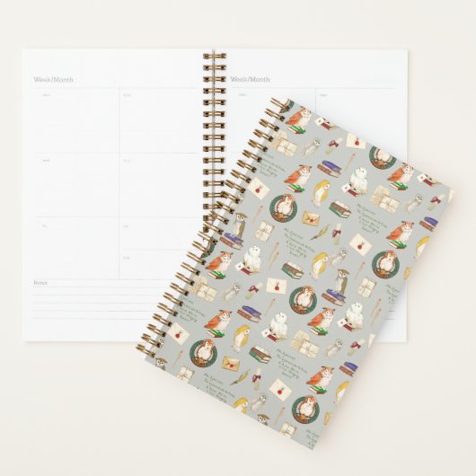 HARRY POTTER™ | Owl Letter Patroon Planner (Display)