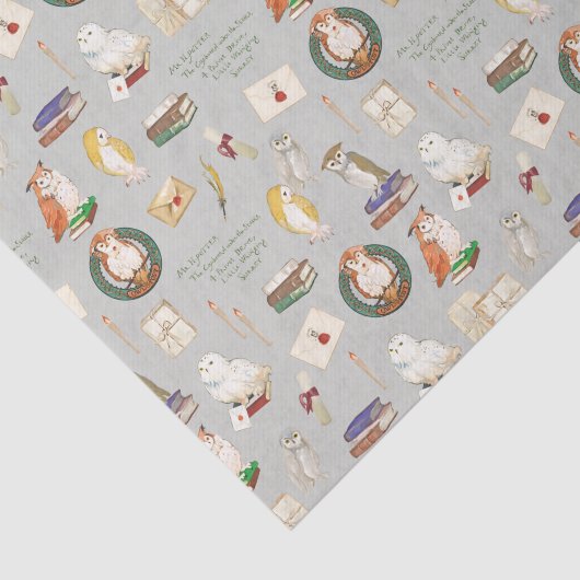 HARRY POTTER™ | Owl Letter Patroon Tissuepapier (Detail)